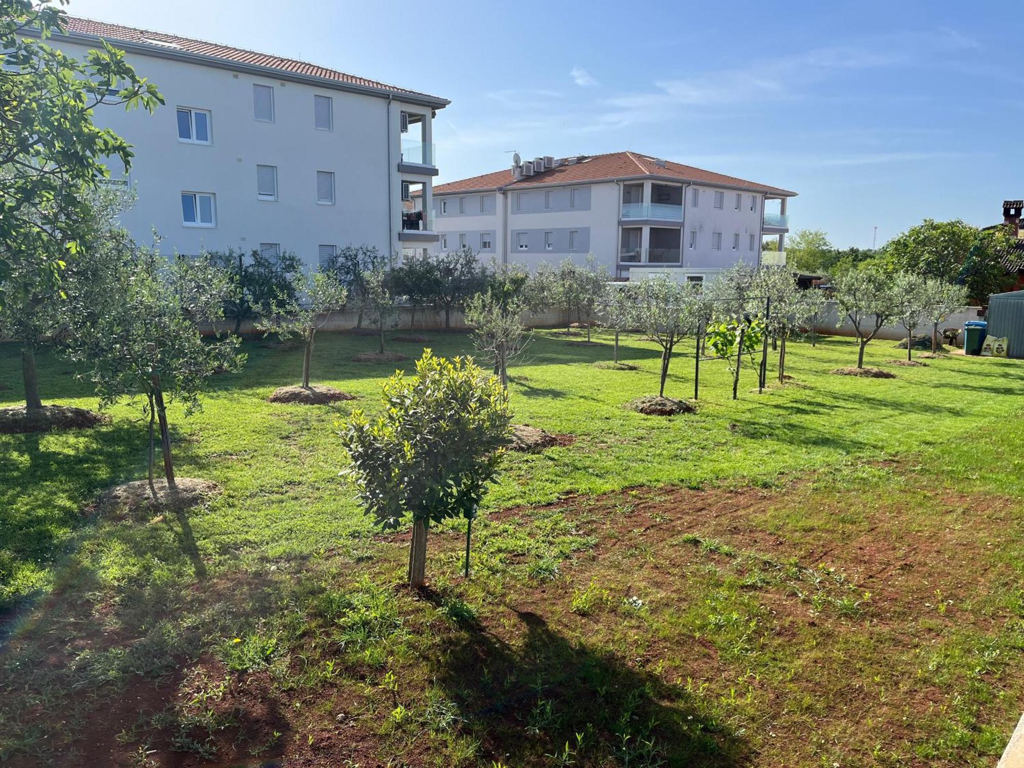 Apartments M&M Terzic Poreč Exteriér fotografie
